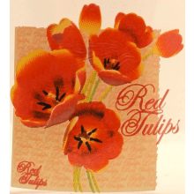 Tároló üveg 400 ml - tulipán 