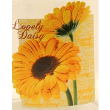 Tároló üveg 400 ml - margaréta 