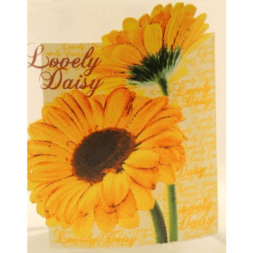 Tároló üveg 400 ml - margaréta 